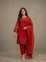 3 piece Emb Dress - Image 2